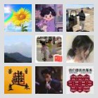 河南上海以及周边拼车群