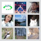 百色拼车网信息交流20群