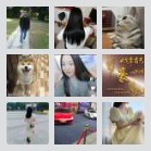广东省内的顺风车及乘客总部4群