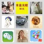 同乡顺-中山⇋广州
