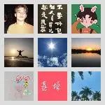同乡顺-保定⇋廊坊
