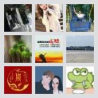 深圳十年老司机群