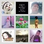 同乡顺-温州拼车群