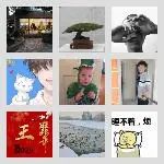 同乡顺-山东拼车4群