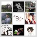 同乡顺-信宜群