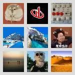 同乡顺-武威拼车群