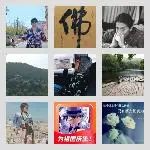 同乡顺-洛阳拼车2群